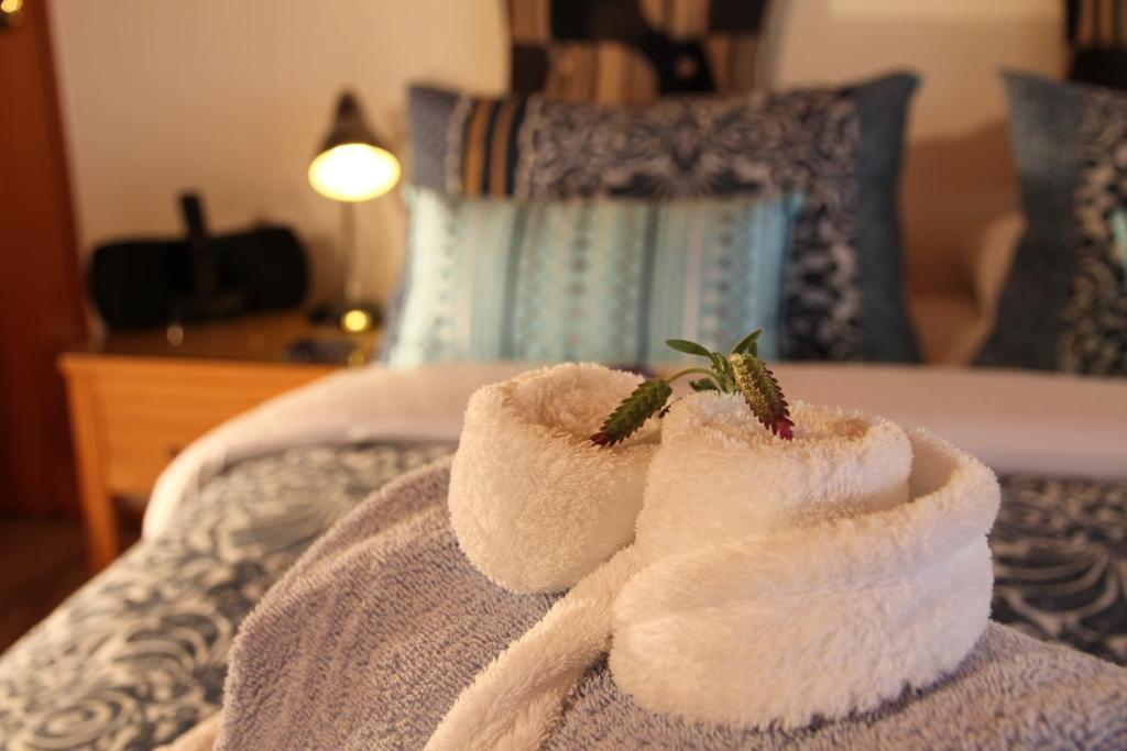 Chalet Romantica Paihia Quarto foto
